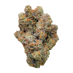 Image of 420 Evolution 27/1 CA FFC