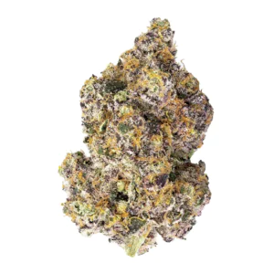 Image of 420 Evolution 25/1 CA CAP