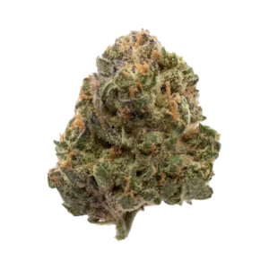 Image of enua 25/1 BT CA