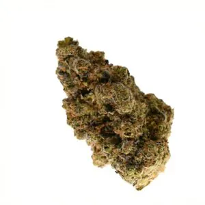 Image of NICE 28/1 GSC