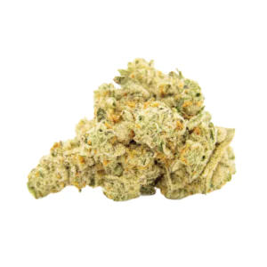 Image of NICE 26/1 CJ