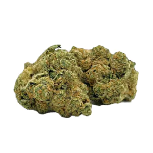 Image of DrWatson 26 DF AUS
