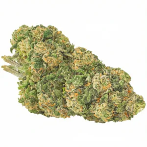 Image of Daily Special 25/1 GMO