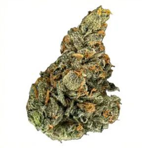 Image of Weeco Nebula 22/1