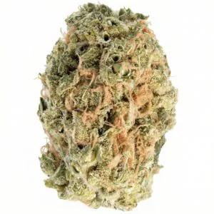 Image of Cannabis flos 22/1 CZE Ku. Ultra Sour