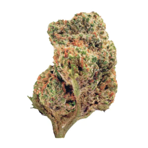 Image of 420 Evolution 27/1 CA RZY