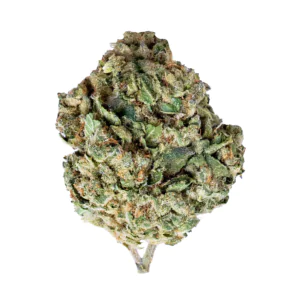 Image of Suprobion CRONOS 25/1 Cronos