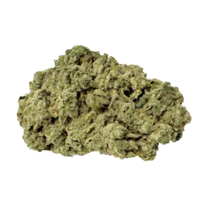 Image of Enua 33/1 AM14 CA SBG