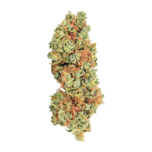 Image of AMP ZEN MAW THC22