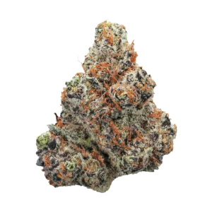Image of Demecan GT Regular Drop 25:01