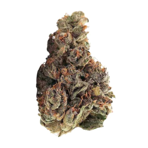 Image of Ritualist 32/1 BK