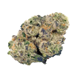 Image of DrWatson 26 TMC AUS