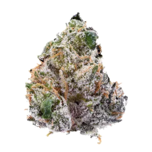 Image of DrWatson 26 SB AUS