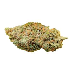 Image of SUNDAZE 27/1 VBV