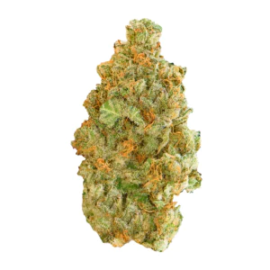 Image of Medical Saints 27/1 SRD