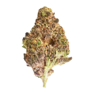 Image of frdm 30/1 MJK