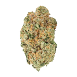 Image of enua 27/1 E85 CA