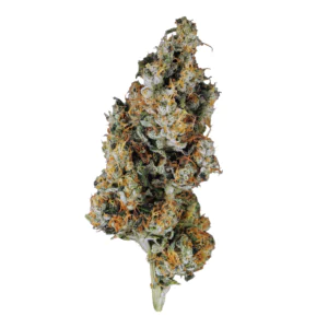 Image of Candoro ethics 22:1 Hybrid OGK
