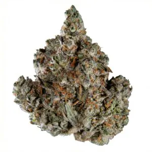 Image of Remexian 30/1 GJY CHK