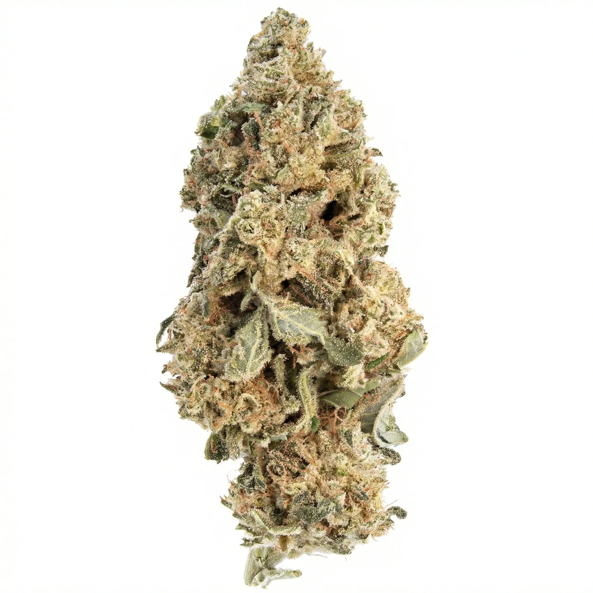 Cannabis flos 28/1 CSF Ku. Produktfoto