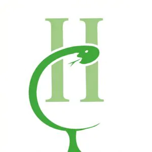 Zeppelin Apotheke (Nur Abholung und Botendienst) Logo