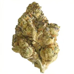 Image of Beyond Bloom AV Gas 24/1