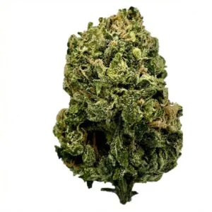Image of slouu 27/1 SCH CA