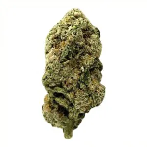 Image of ZOIKS 22/1 ALM