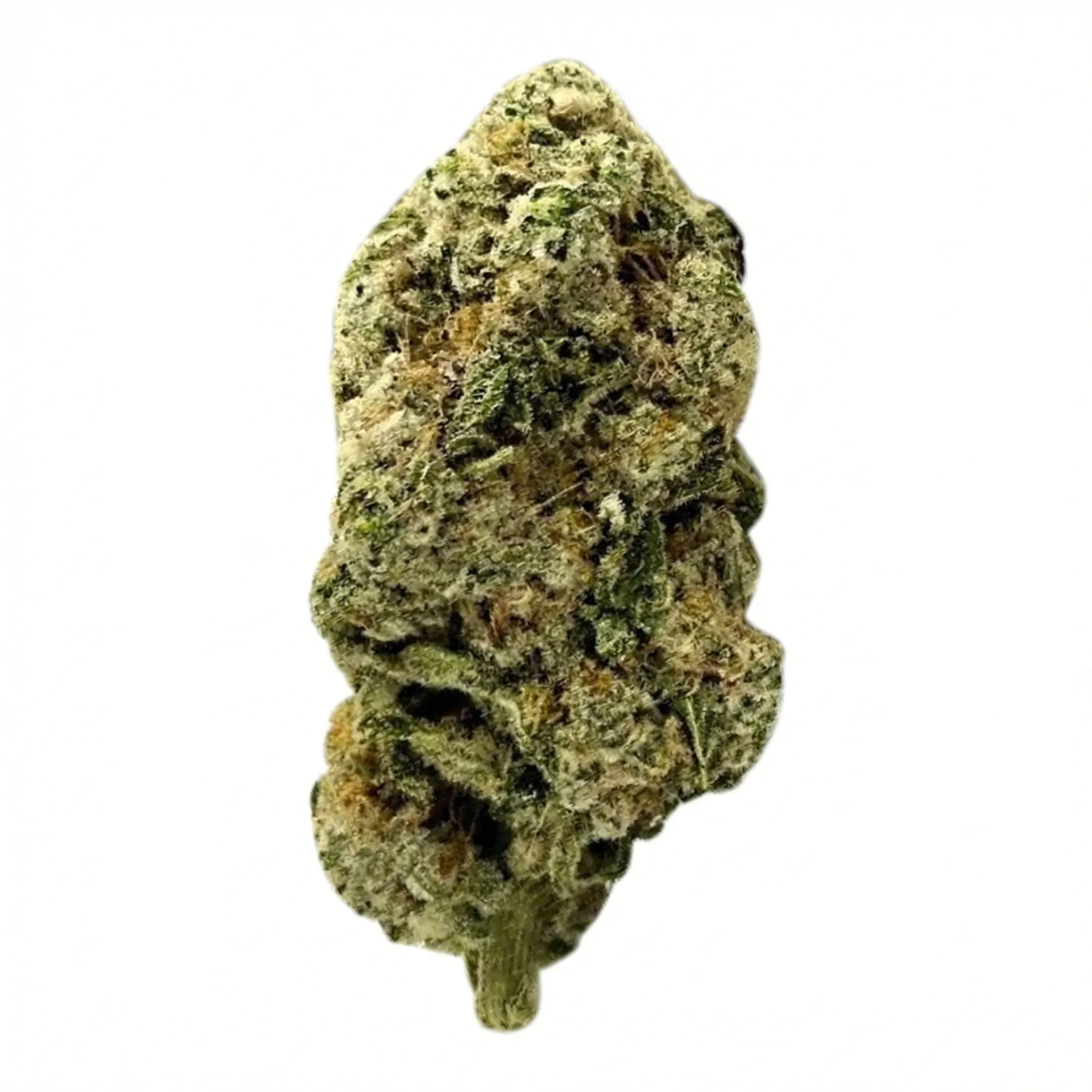 Image of ZOIKS 22/1 ALM