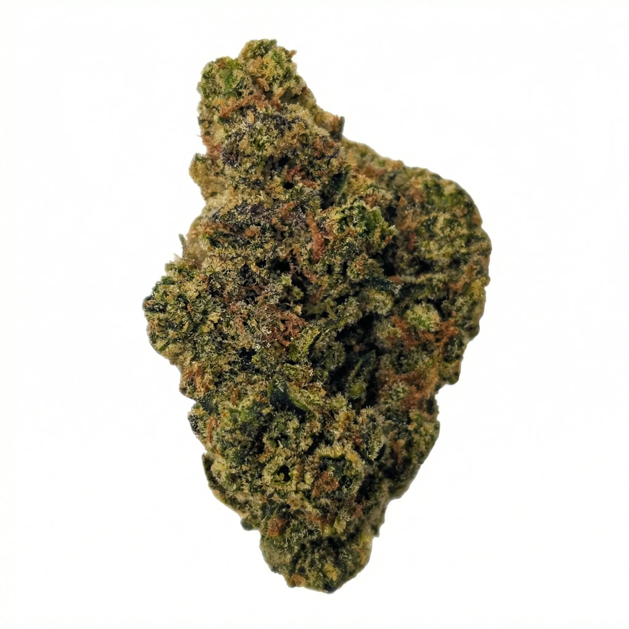 Image of ZOIKS 26/1 SCH