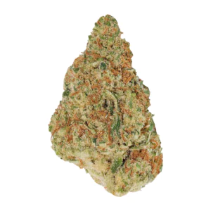 Image of buuo 30/1 CNM