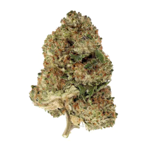 Image of MediproCan Calyx Pure 28/1 OG