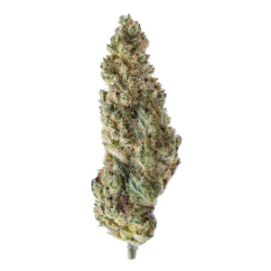 Image of Abby Leaf 27/1 CTL