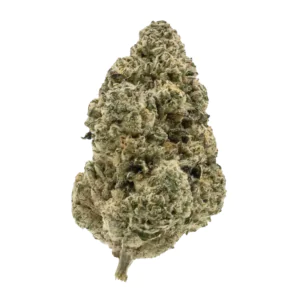 Image of Medicus 21/1 EZA ZZ4