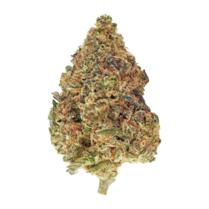 Image of Briah BKA 28