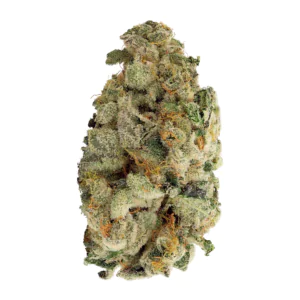 Image of Briah MOB 25