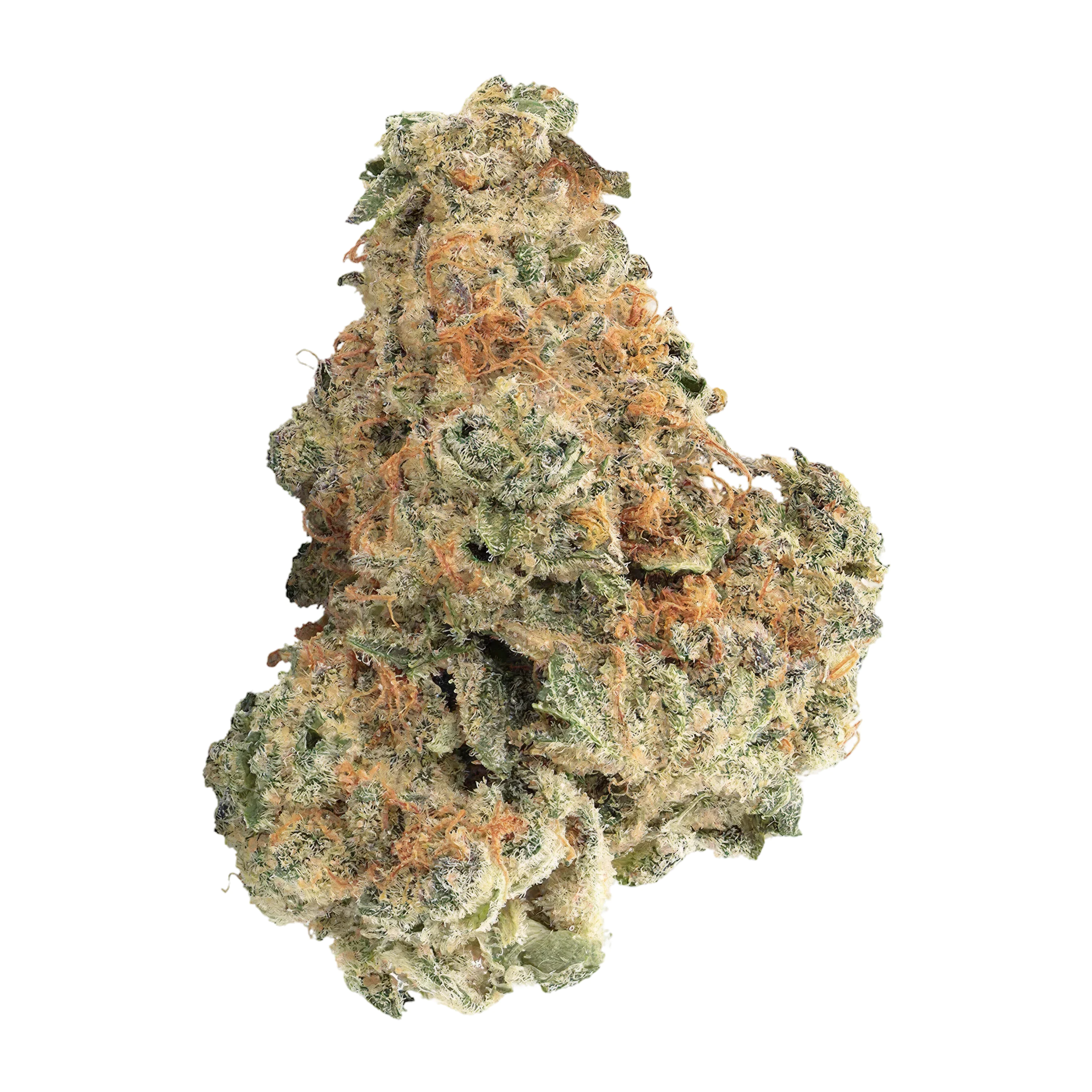 420 Evolution 30/1 CA SCM product photo
