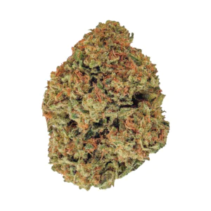 Image of PURPLEFARM 26/1 HB