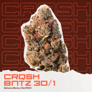 Image of CRQSH BNTZ 30/1 Banana Runtz