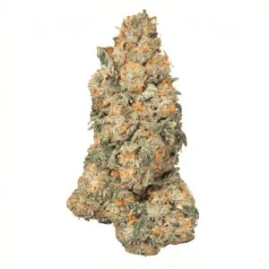 Image of CRQSH GKY 25/1 Gas Monkey