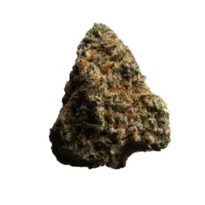 Image of enua 33/1 ABK CA