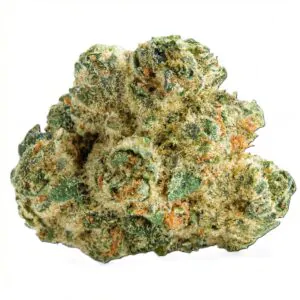 Image of NICE 27/1 SCE