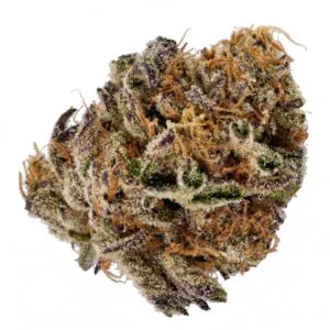 Image of slouu 25/1 CBC CA