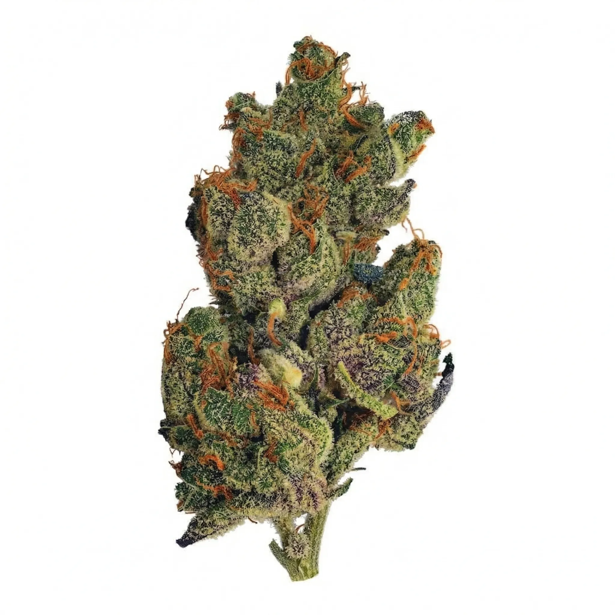 NICE 32/1 CHM GMO Chem Mintz Produktfoto