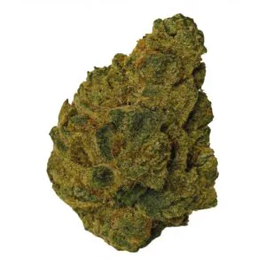 Image of Khiron SP 25/1