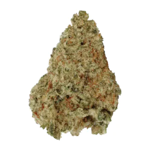 Image of buuo 28/1 MB