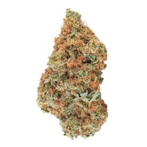 Image of stabil. JTK COL 22