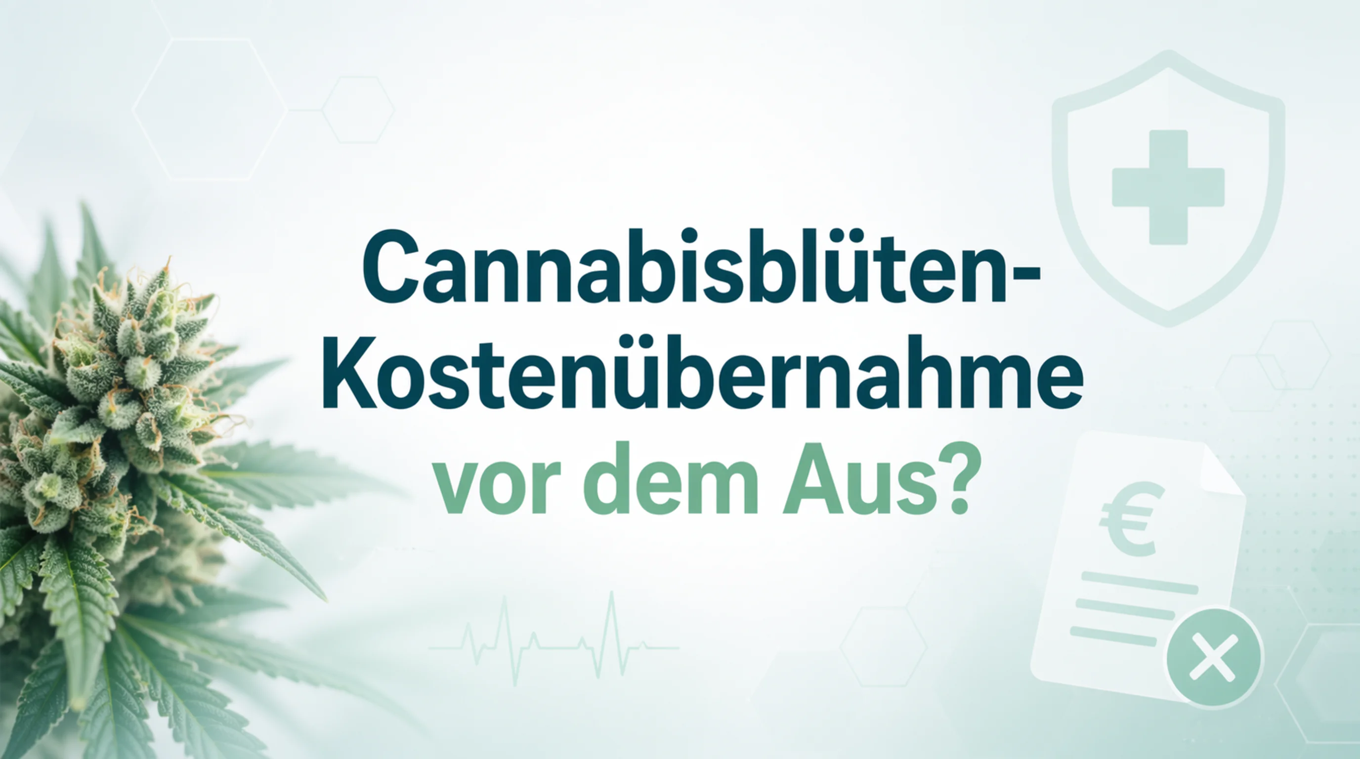 Cannabisblüten-Kostenübernahme vor dem Aus? GKV-Reform 2026 und unser Lösungsvorschlag