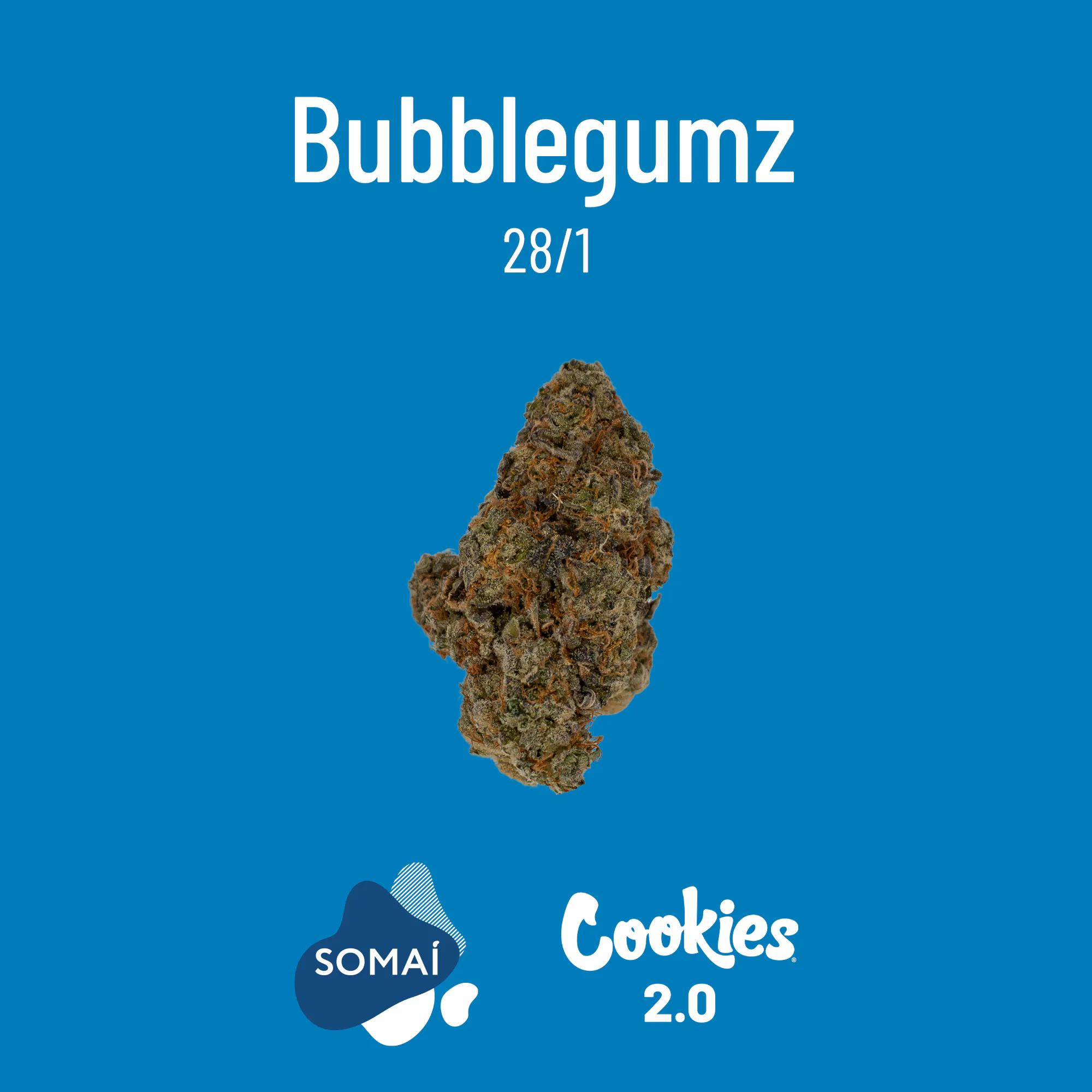 Image of Cookies 2.0 28/1 Bubblegumz