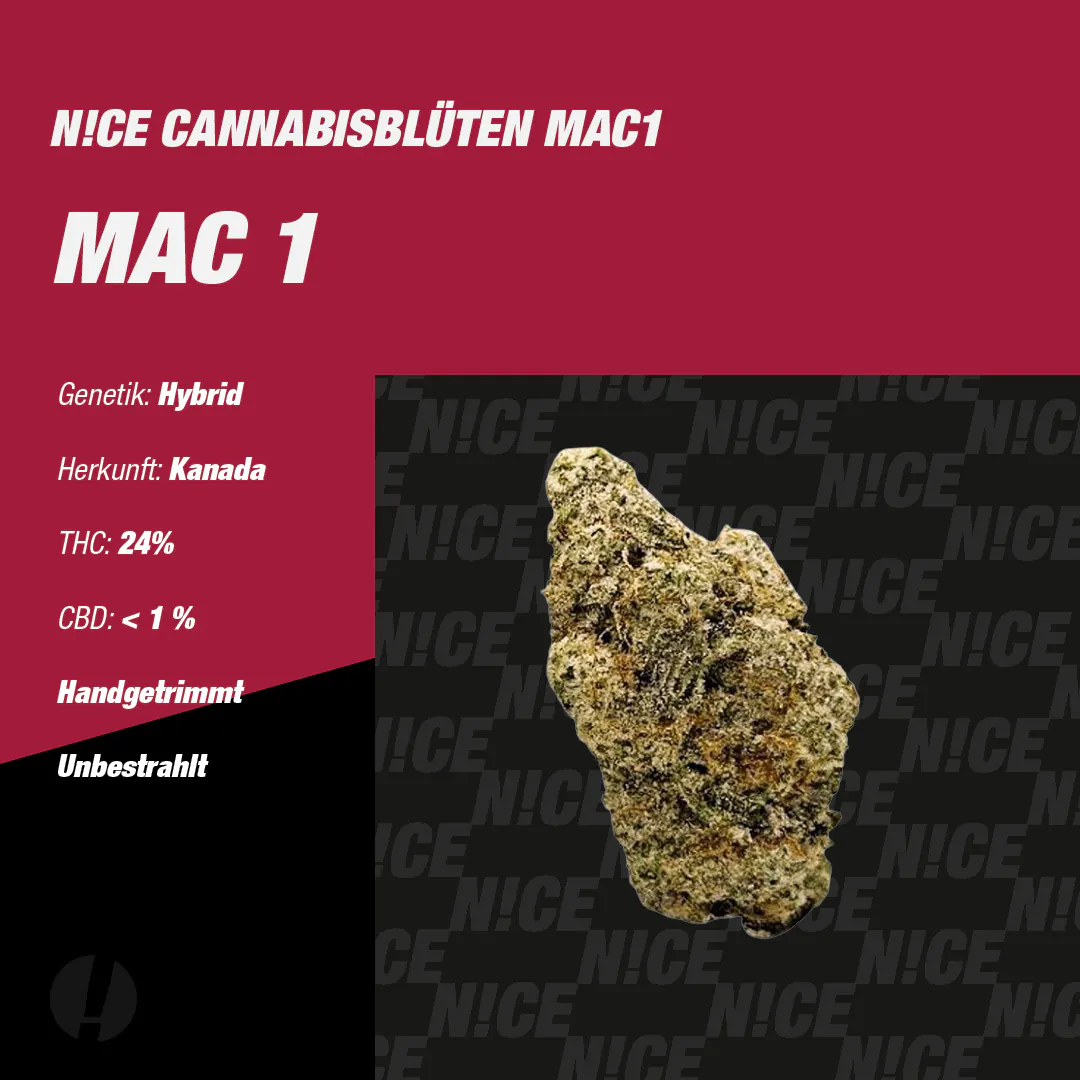 NICE 24/1 MAC1 Produktfoto